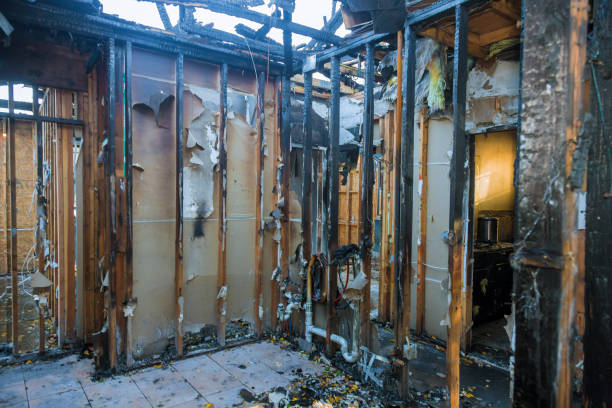 Professional Structural Rebuild technician working in Willernie, MN